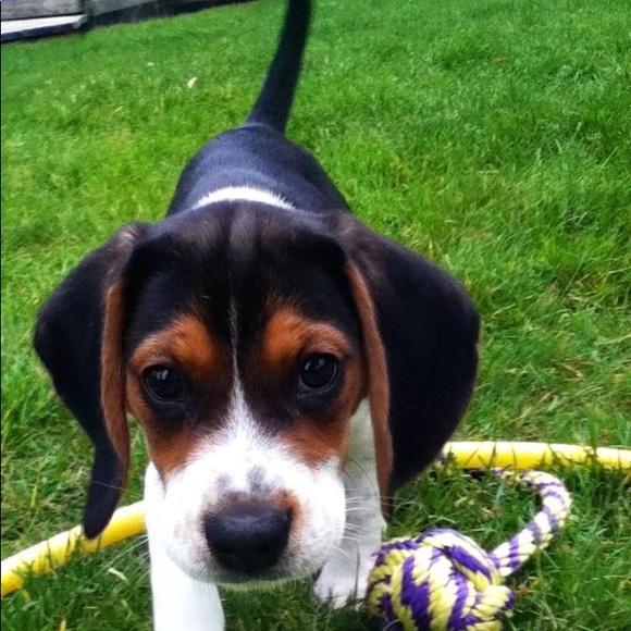 Meet your Posher, Martha - Picture 2 of 2